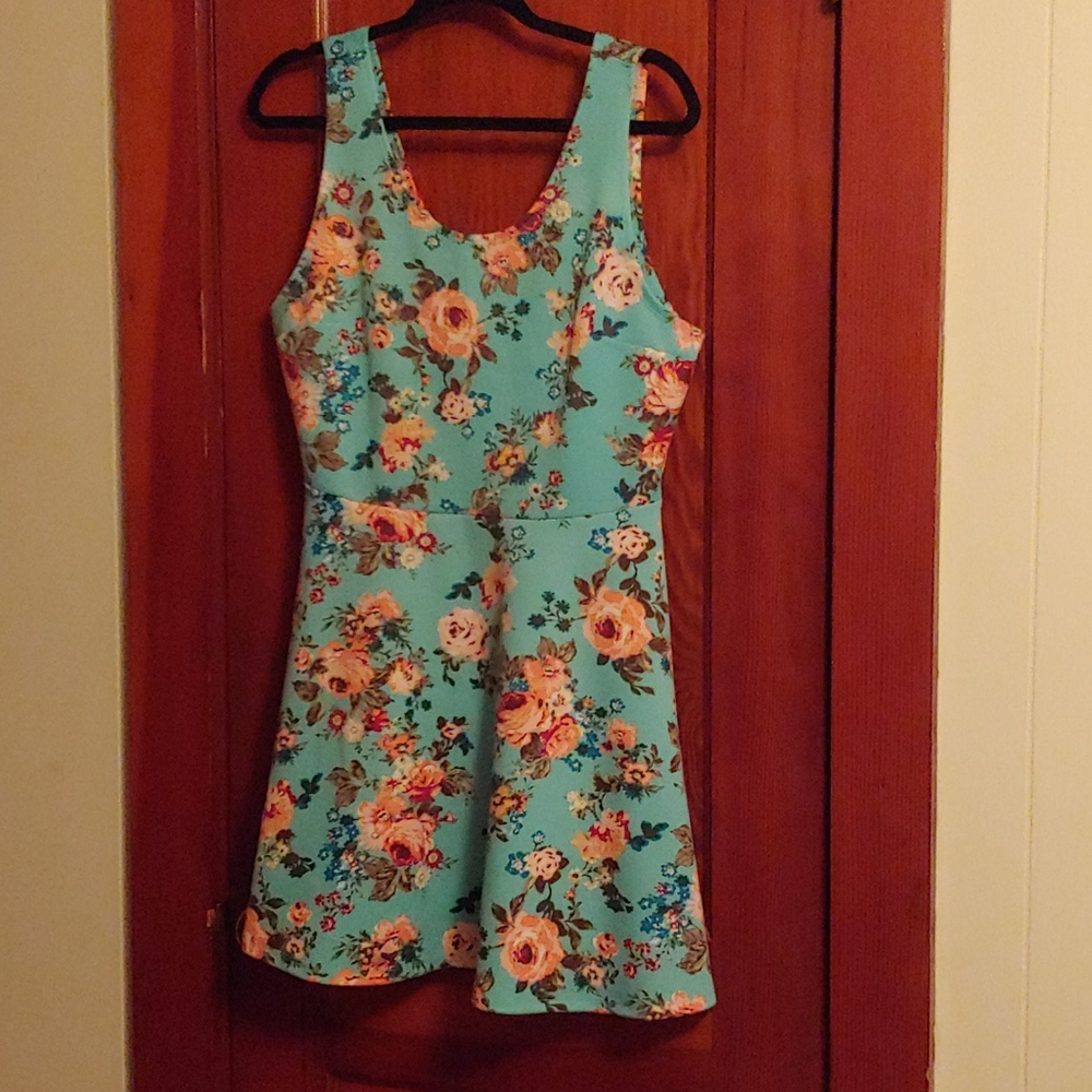 No Boundaries Teal Dress with Roses